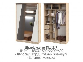 шкаф-купе ПШ-2.9 1500 Норд Белый жемчуг 1500 в Усть-Катаве - ust-katav.магазин96.com | фото