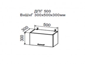 Шкаф верхний ДПГ500 горизонтальный в Усть-Катаве - ust-katav.магазин96.com | фото
