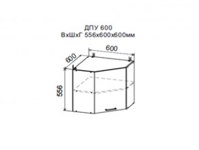 Шкаф верхний ДПУ600 угловой в Усть-Катаве - ust-katav.магазин96.com | фото